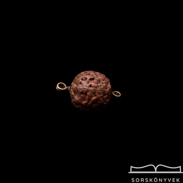 8 osztatú Rudraksha mag, ritkaság!