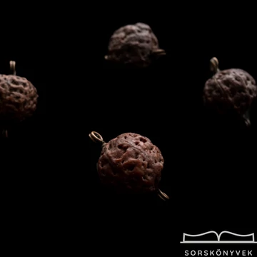 9 osztatú Rudraksha mag, ritkaság!