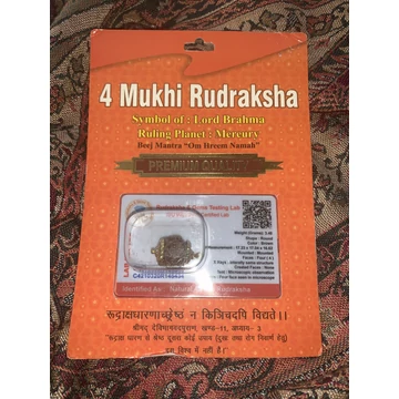 4 arcú Rudraksha Prémium minősítéssel