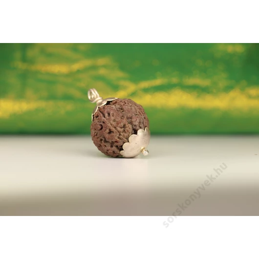 5 arcú rudraksha mag fémfoglalattal