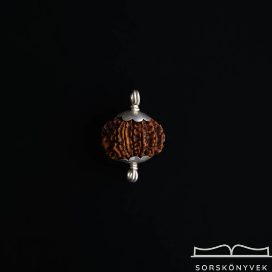 7 arcú rudraksha ezüst foglalattal.