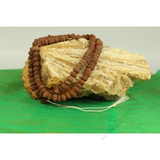 8 arcú rudraksha mala, fehér zsineg, 108 szem
