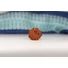 Kép 2/4 - 11 arcú Rudraksha mag, 24 mm