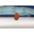Kép 3/4 - 11 arcú Rudraksha mag, 24 mm