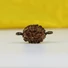 Kép 1/5 - 3 arcú Rudraksha mag