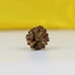 Kép 4/5 - 3 arcú Rudraksha mag