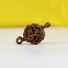 Kép 2/6 - 4 arcú Rudraksha mag