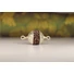 Kép 2/3 - 5 arcú rudraksha mag ezüst foglalatban, 20mm