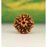 Kép 1/4 - 7 arcú rudraksha mag