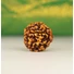 Kép 3/4 - 7 arcú rudraksha mag