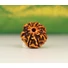 Kép 1/4 - 7 arcú rudraksha mag
