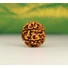 Kép 3/4 - 7 arcú rudraksha mag