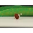 Kép 1/6 - 9 arcú rudraksha mag, ezüst foglalattal