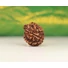 Kép 3/4 - Ganésa rudraksha mag, 6 arcú