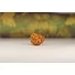 Kép 1/4 - Ganésha rudraksha mag, 5 arcú