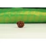 Kép 6/7 - Ganésa rudraksha mag