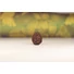 Kép 4/5 - Ganésa rudraksha mag, 5 mukhi