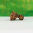 Kép 6/6 - Gauri Shankar rudraksha mag